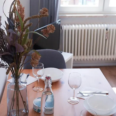 Nova - Phantasialand I Cologne I Bonn Brühl